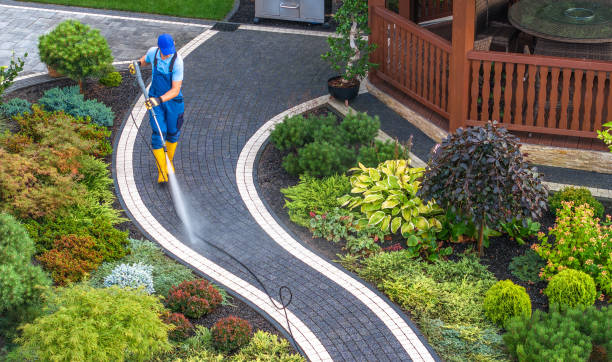 Best Residential Pressure Washing Services  in Fate, TX