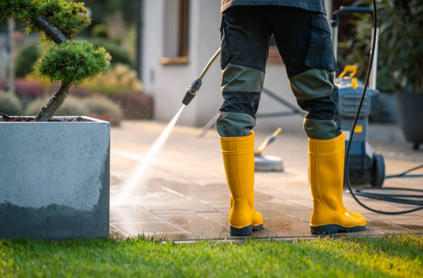 Best Best Pressure Washing Companies  in Fate, TX
